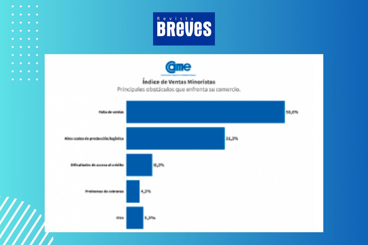 Ventas minoristas pymes caen 1,7% en noviembre pero cierran con señales mixtas - imagen 5